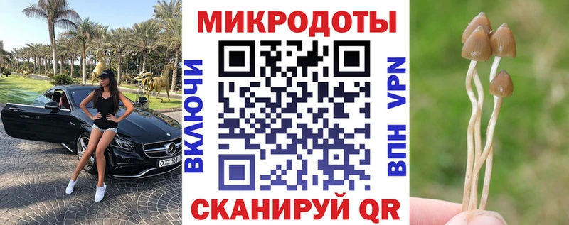 наркотики  Свободный  Галлюциногенные грибы Magic Shrooms 